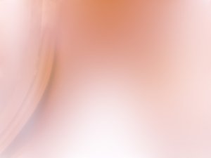 搜索排序